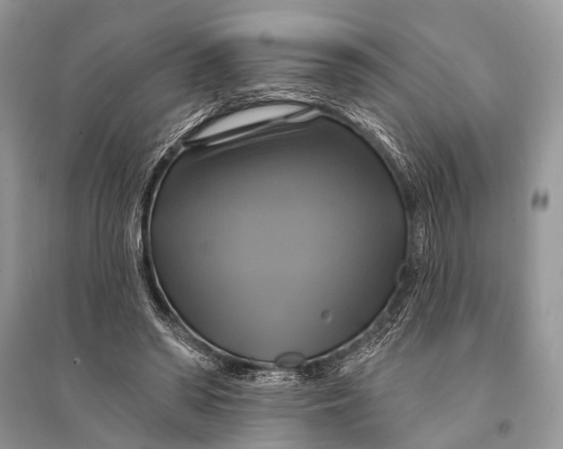 X0000094900398200712201139