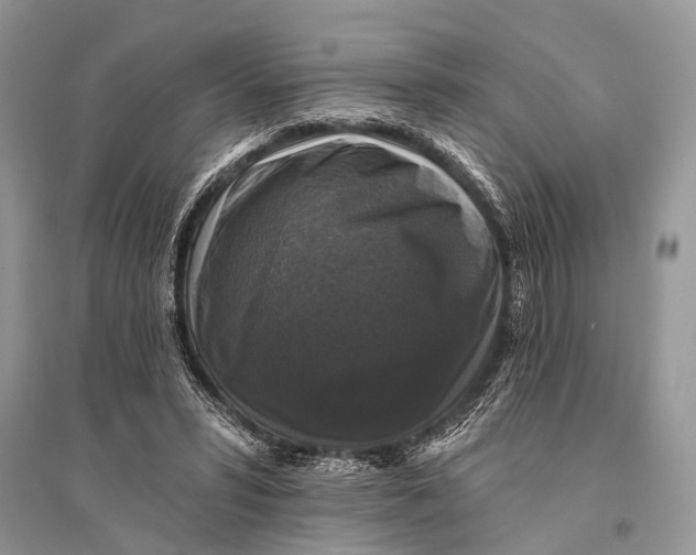 X0000094900399200712201139