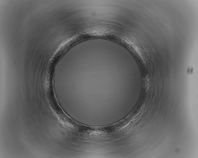 X0000094900400200712201139