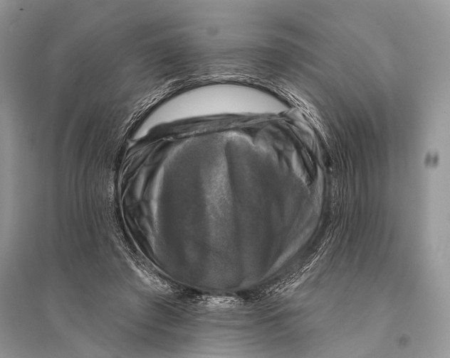 X0000094900401200712201139