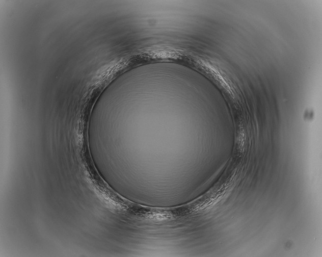 X0000094900402200712201139