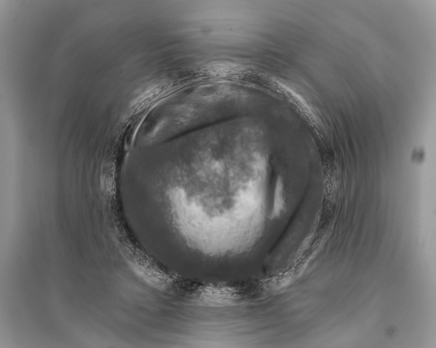 X0000094900403200712201139