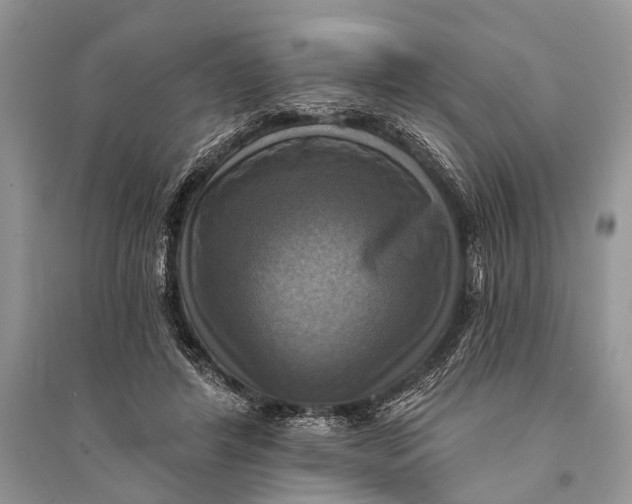 X0000094900404200712201139