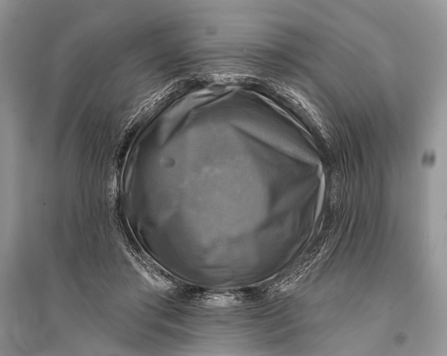 X0000094900405200712201139