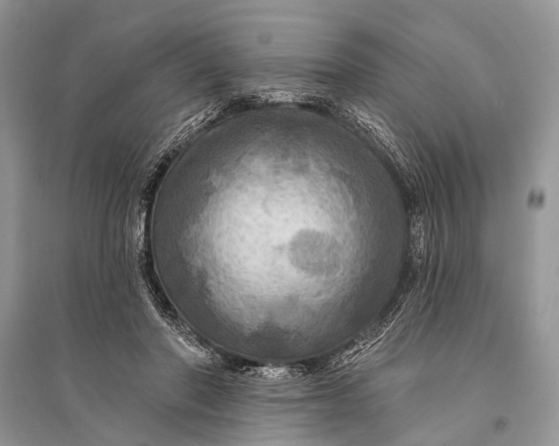 X0000094900406200712201139