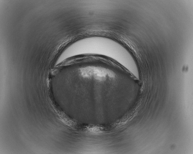 X0000094900407200712201139