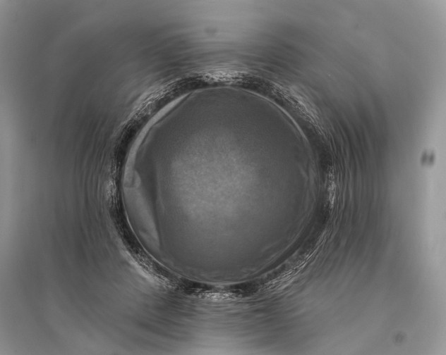 X0000094900408200712201139