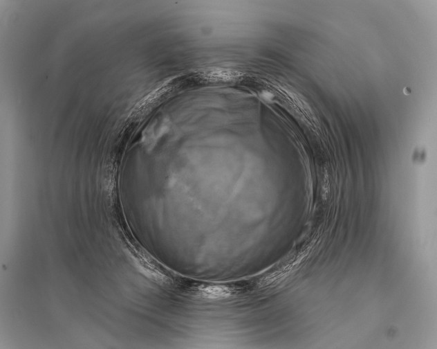 X0000094900409200712201139