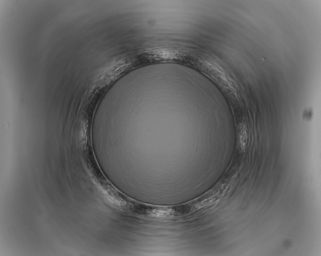 X0000094900410200712201139