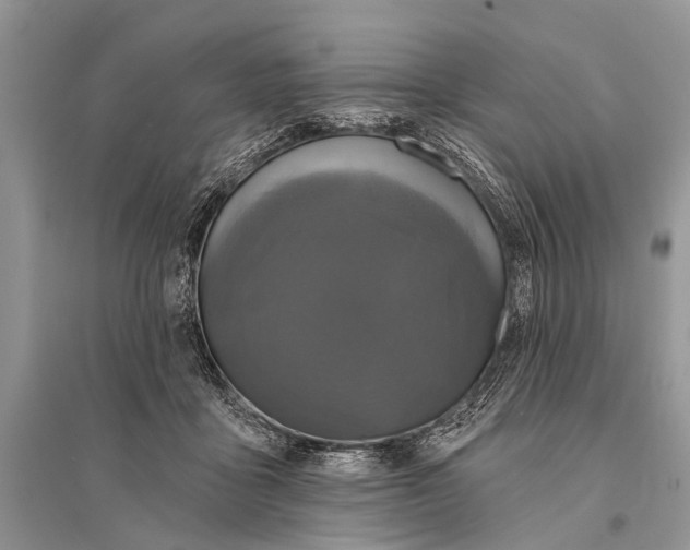 X0000094900411200712201139