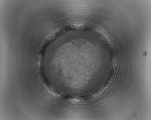 X0000094900412200712201139