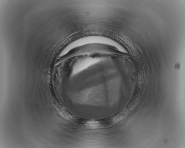 X0000094900413200712201139