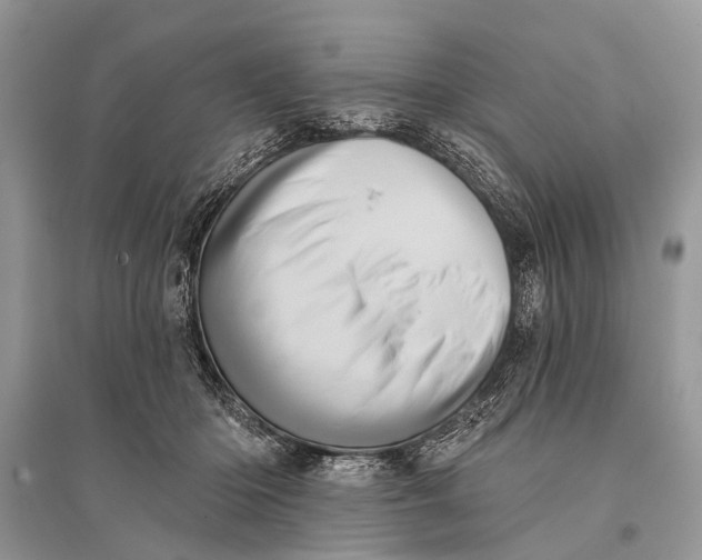 X0000094900414200712201139