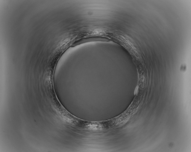 X0000094900415200712201139