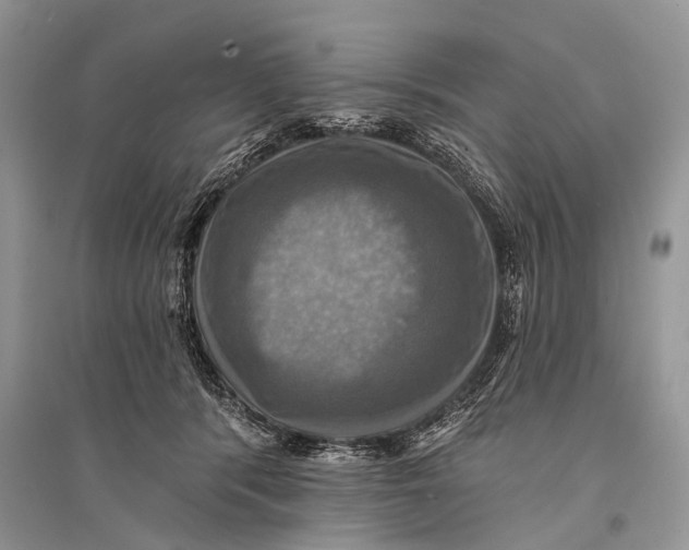 X0000094900416200712201139