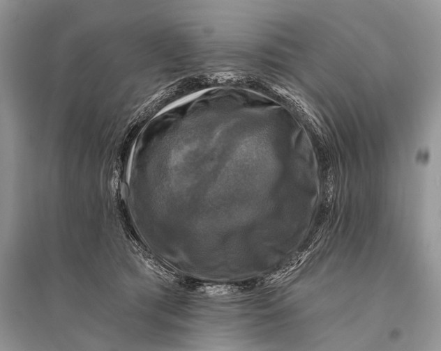 X0000094900417200712201139