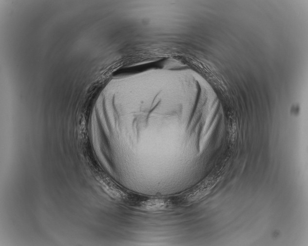 X0000094900418200712201139