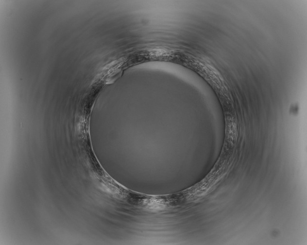 X0000094900419200712201139