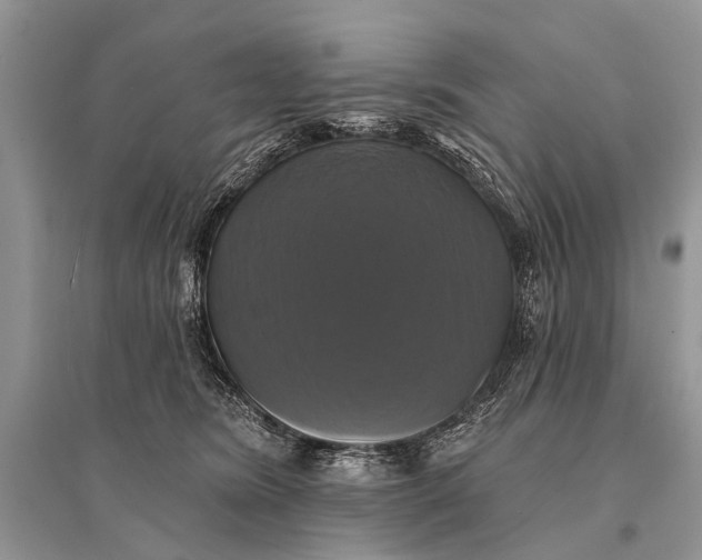 X0000094900420200712201139