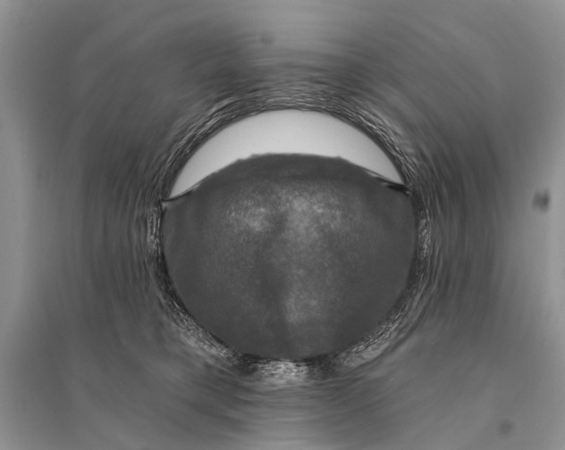 X0000094900421200712201139