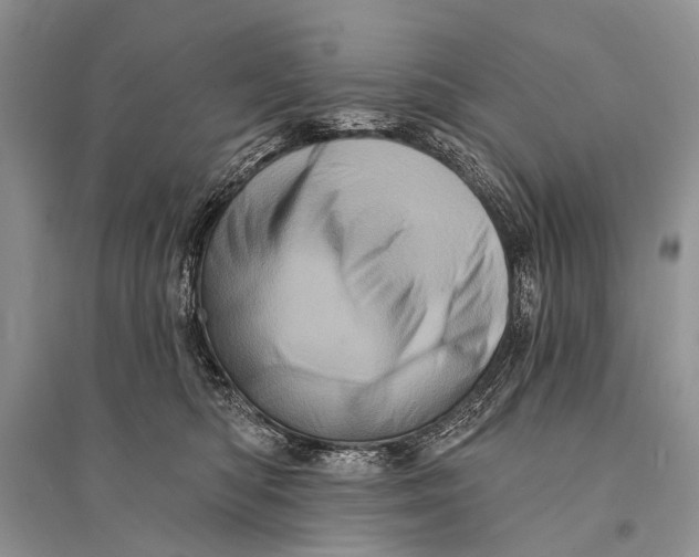 X0000094900422200712201139