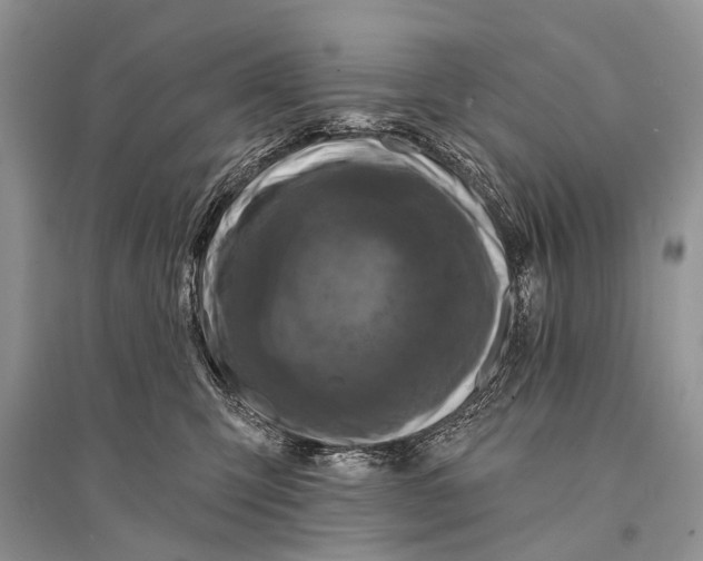 X0000094900423200712201139