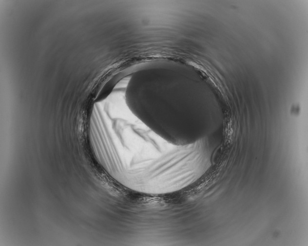 X0000094900424200712201139