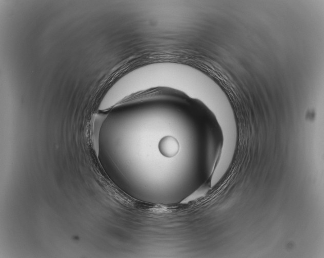 X0000094900425200712201139