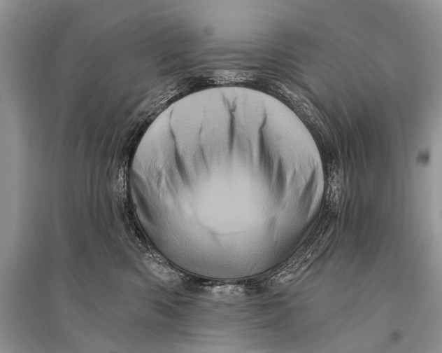 X0000094900426200712201139