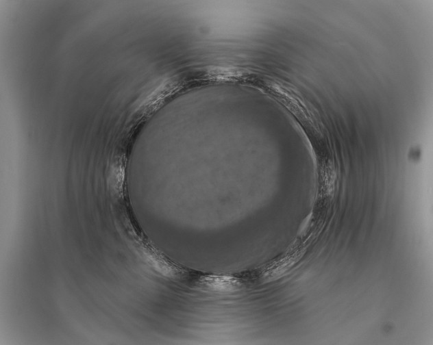 X0000094900427200712201139