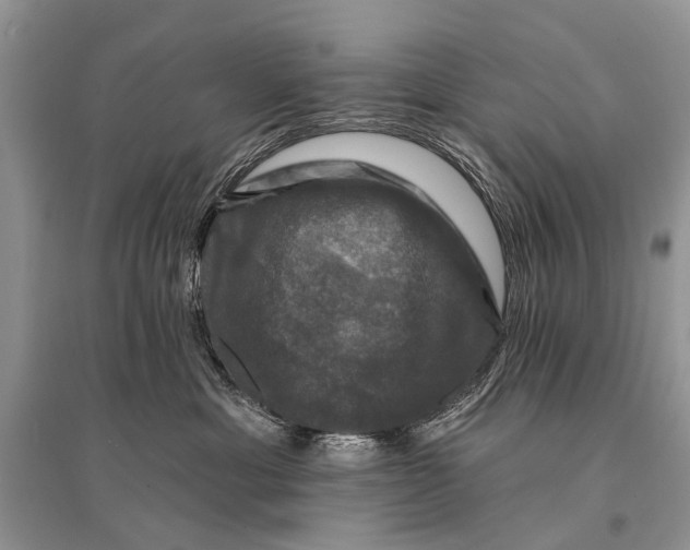 X0000094900429200712201139