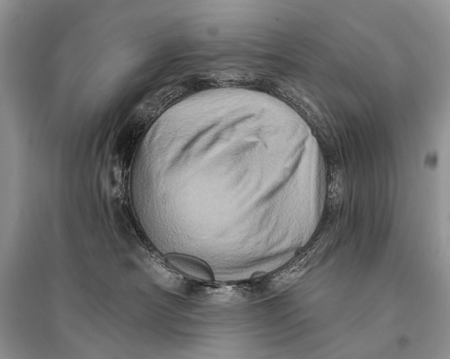 X0000094900430200712201139