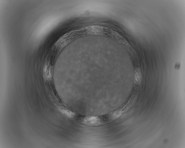 X0000094900431200712201139