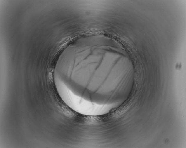 X0000094900432200712201139