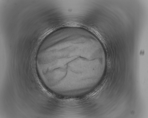 X0000094900433200712201138