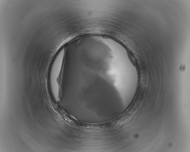 X0000094900434200712201138