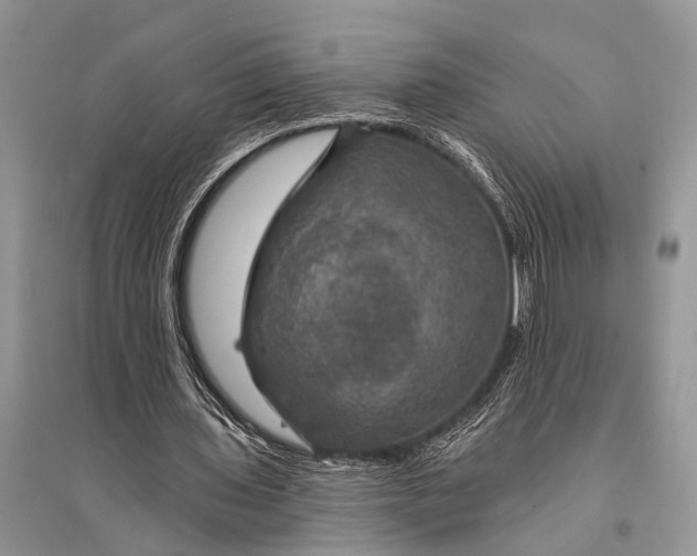 X0000094900435200712201138