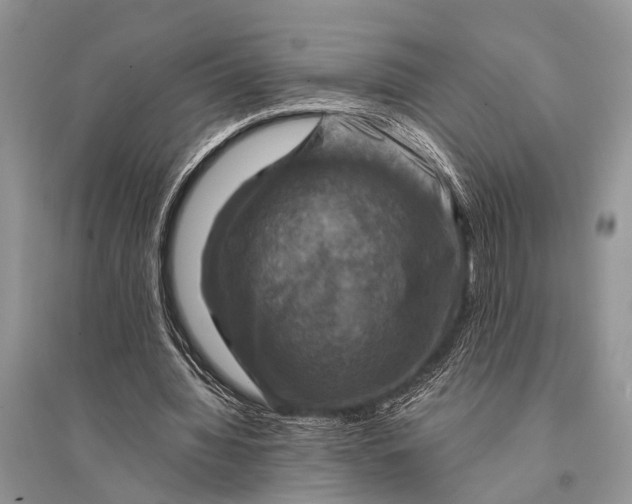 X0000094900436200712201138