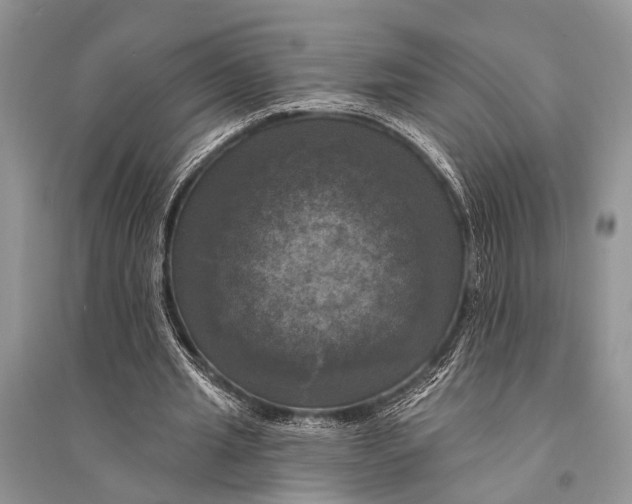 X0000094900437200712201138