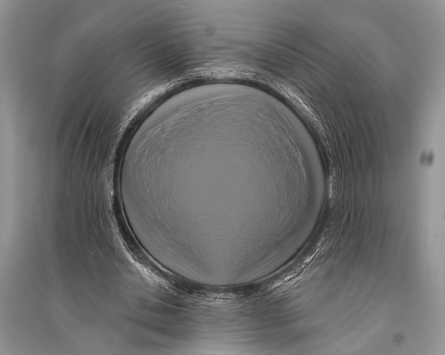 X0000094900438200712201138