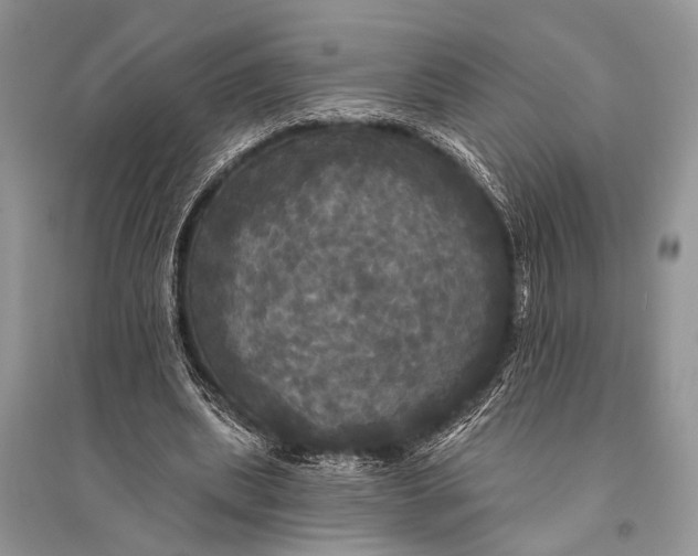 X0000094900439200712201138