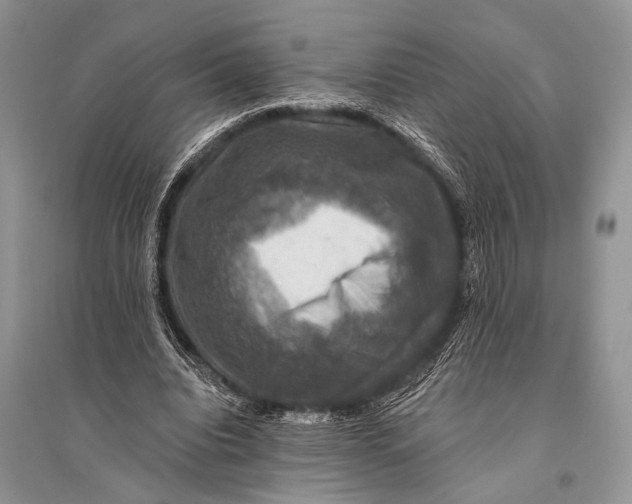 X0000094900440200712201138