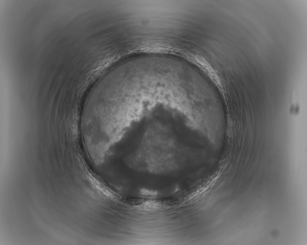 X0000094900441200712201138