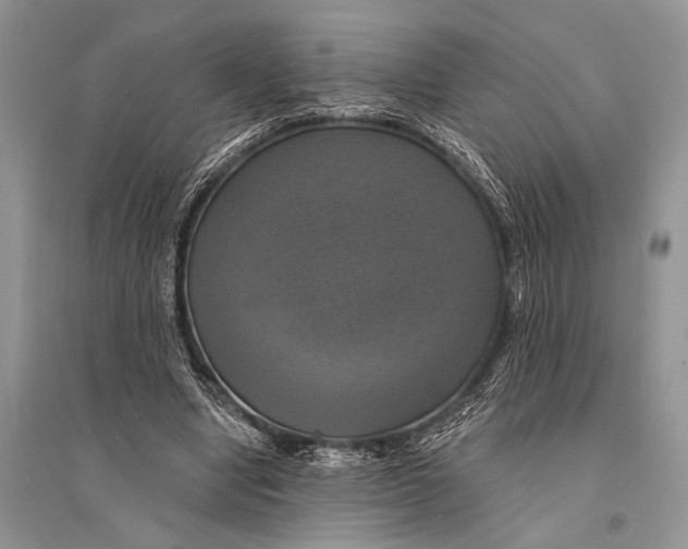 X0000094900442200712201138