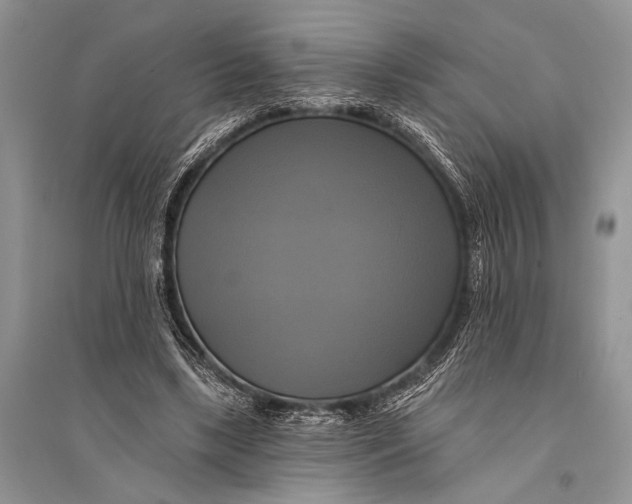 X0000094900443200712201138