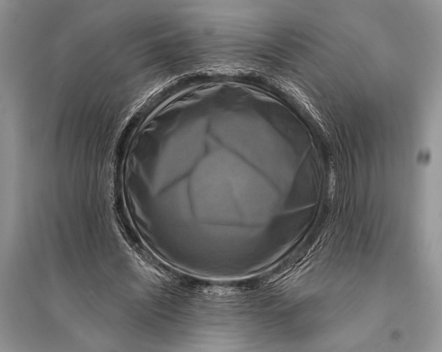 X0000094900444200712201138