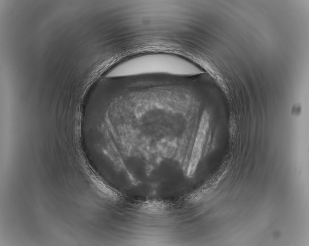 X0000094900445200712201138