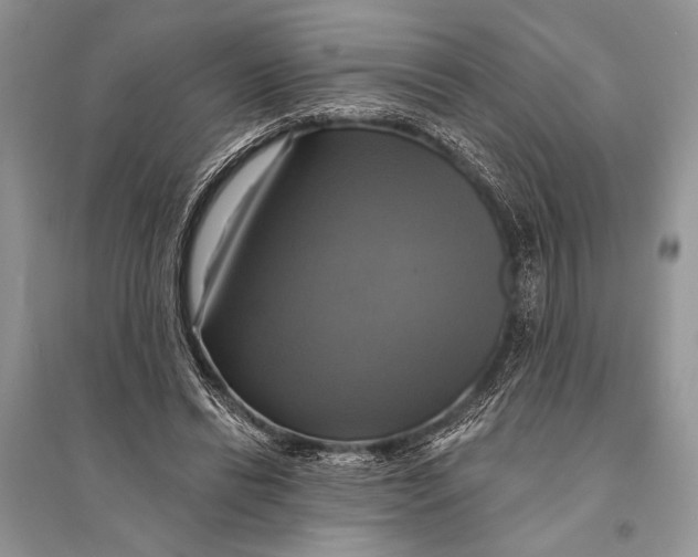 X0000094900446200712201138