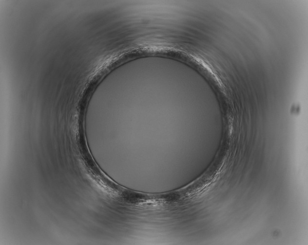 X0000094900447200712201138