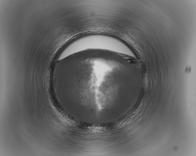 X0000094900448200712201138